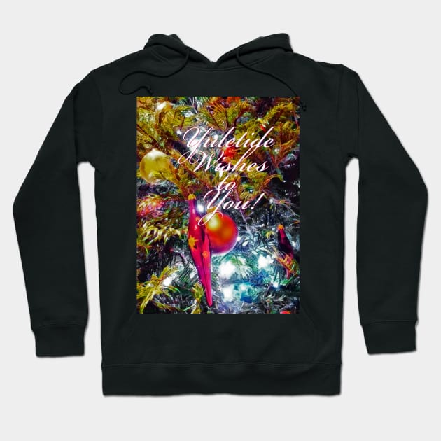 Yuletide Wishes to You! Hoodie by kimberlyjtphotoart